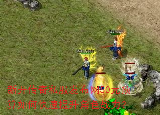 ¿˽50ԪԤοɫս