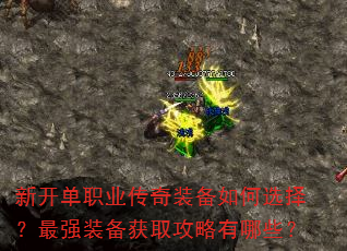 ¿ְҵװѡǿװȡЩ