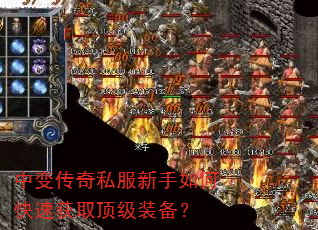 б䴫˽οٻȡװ