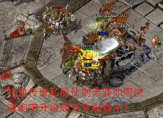 Ѫ˽̽οˢΪȫ