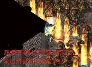 ʵְҵˢռװٳɱҵ