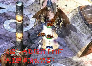 ҫ˽οٻȡװ
