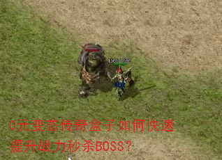0Ԫ̬οսɱBOSS