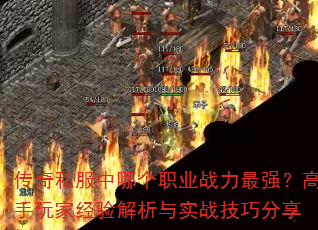˽ĸְҵսǿҾʵսɷ