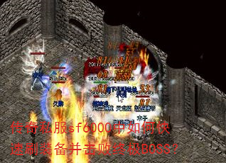˽sf6000οˢװռBOSS