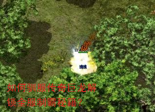 ѱȫưؼ
