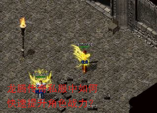 ڴ˽οɫս