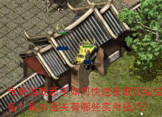 传奇游戏新手如何快速获取顶级装备?副本通关有哪些实用技巧? 传奇游戏新手如何快速获取顶级装备?副本通关有哪些实用技巧?